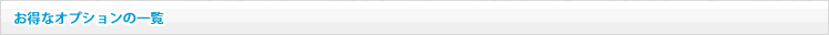 お得なオプションの一覧